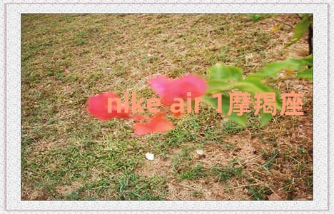 nike air 1摩羯座